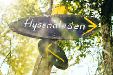 Hyssnaleden