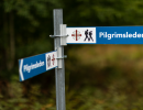Walk in the nature of Dalsland