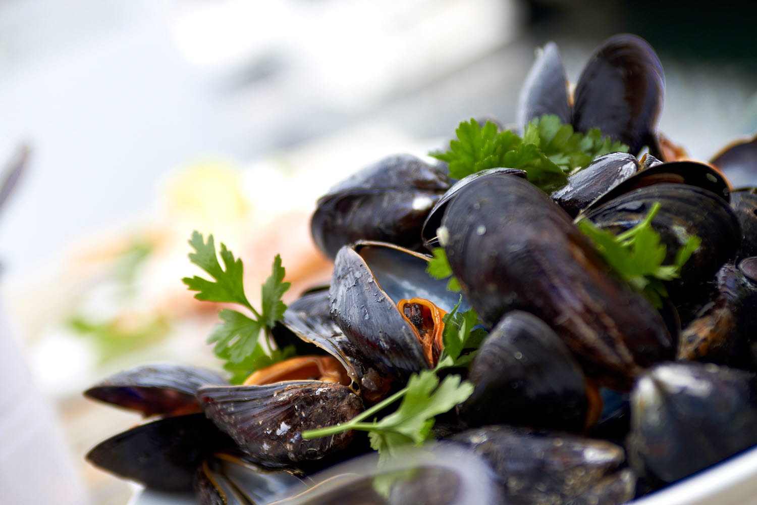 Cooked mussels on a plate