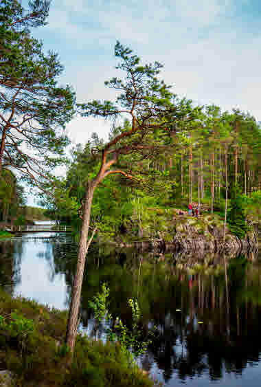 Tresticklan Nationalpark