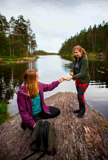 Tresticklan Nationalpark