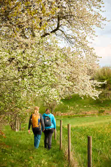 Höjentorp, Billingeleden