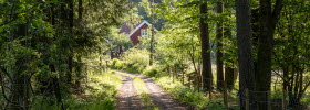 En grusvägen genom skogen