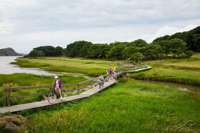 Family cycle on a footbridge -  Photo Cred Roger Borgelid