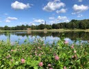En blank sjö. I förgrunden syns rödklöver. I bakgrunden syns ett kyrktorn.