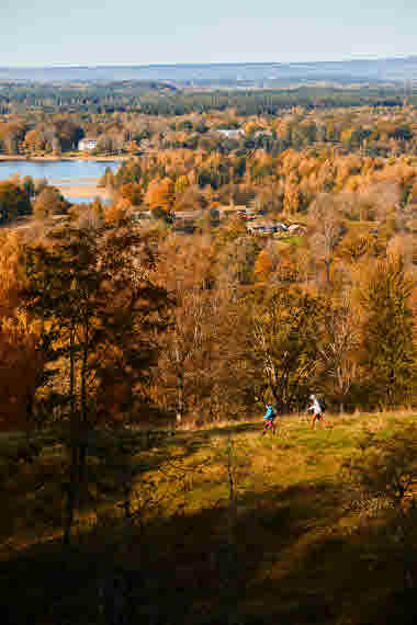 Jättadalen, Vallebygden