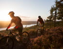 Two men on mountainbikes in the forrest