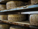 Cheeses