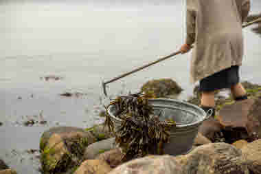 Strandflickorna, Lysekil